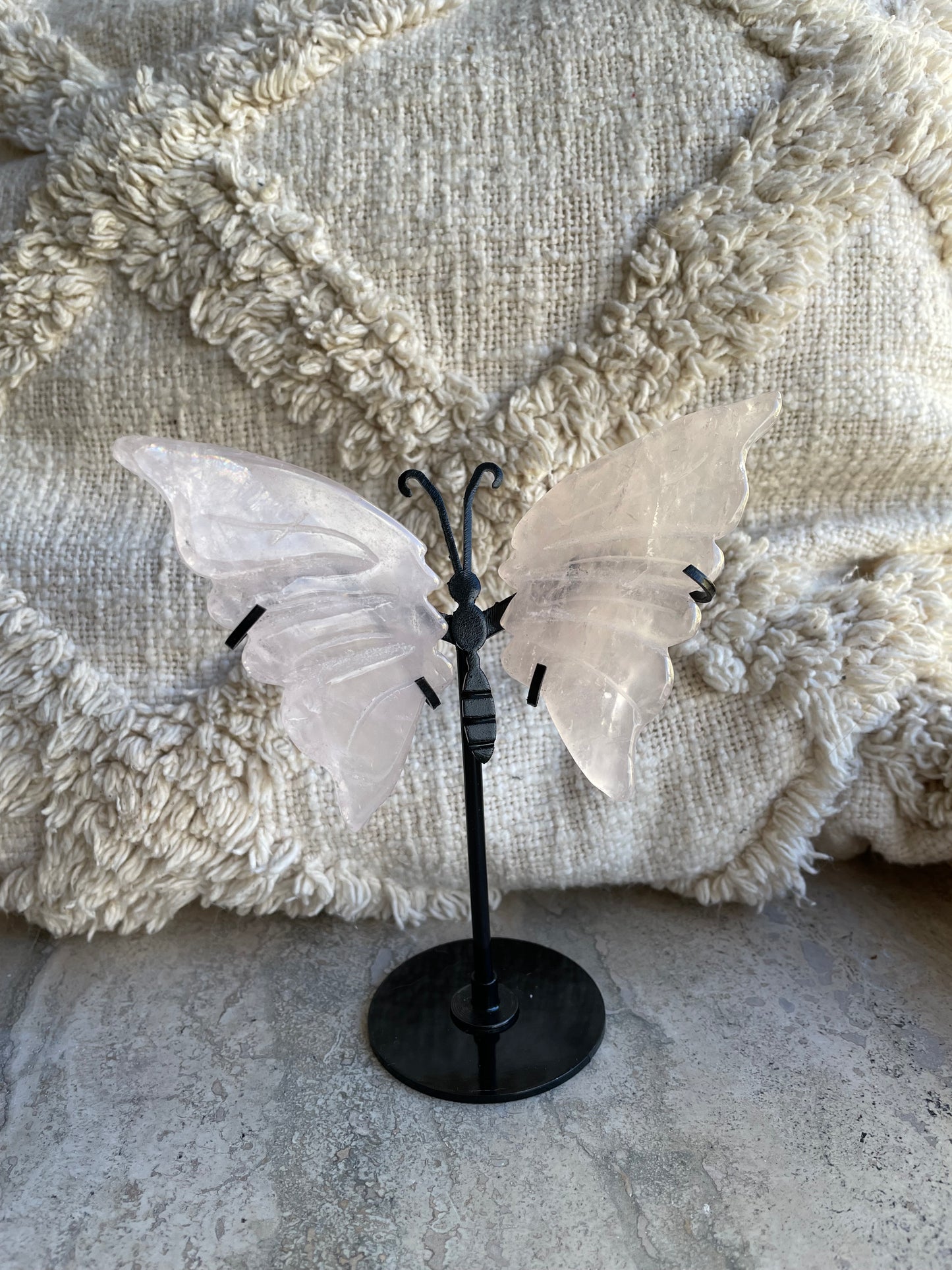 Rozenkwarts vlinder met zwarte details