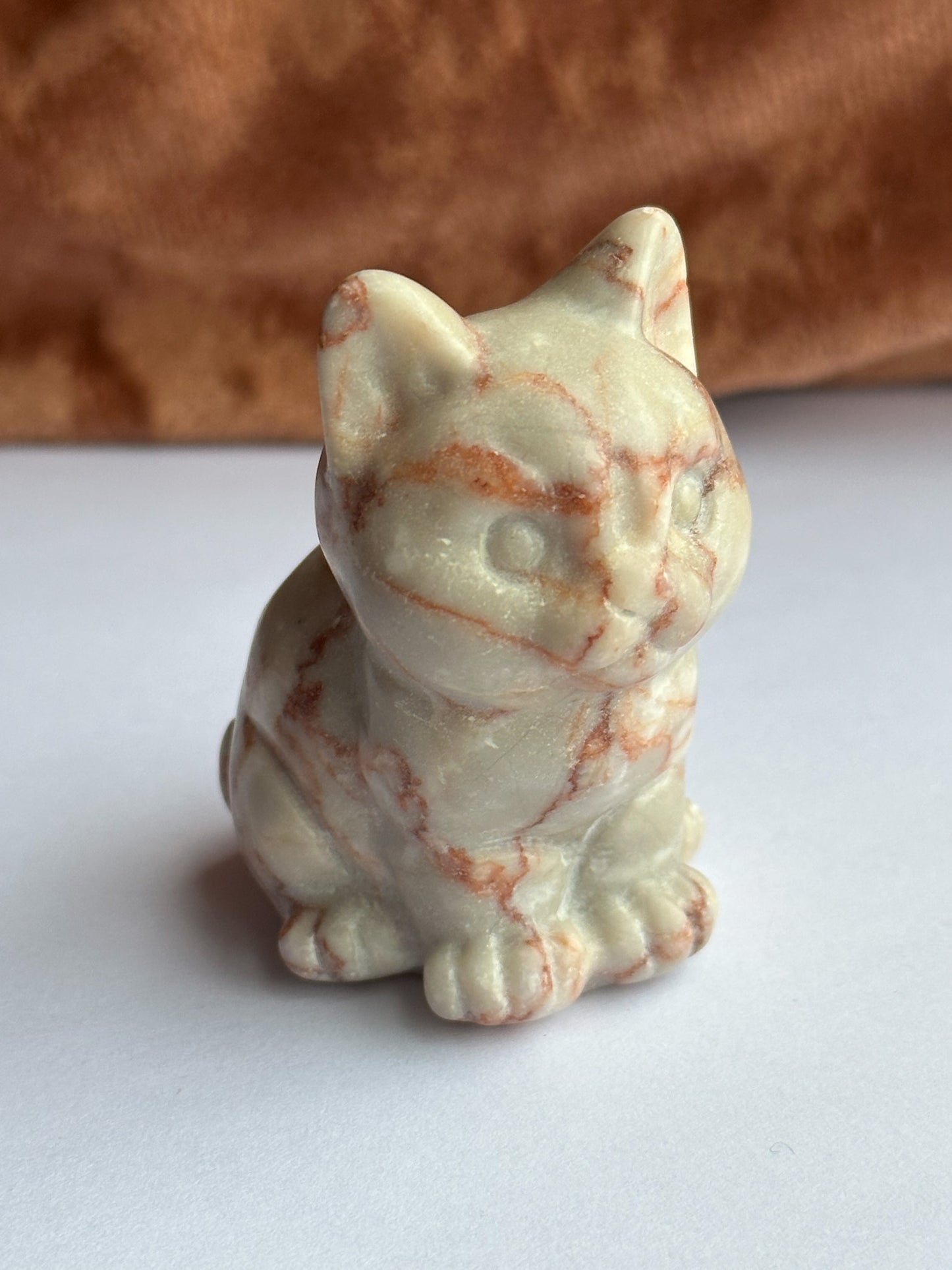 Red vein jaspis kat