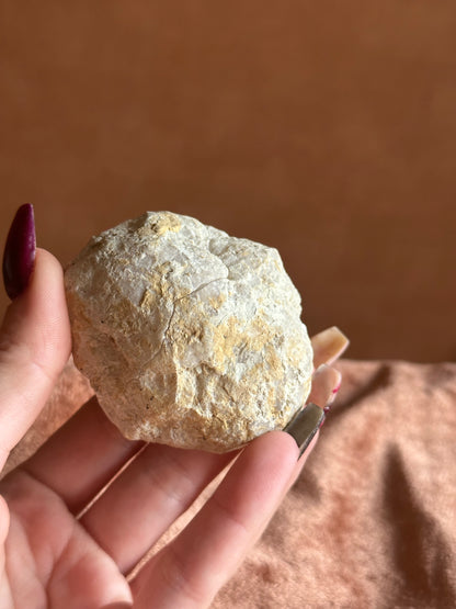 RaVa Home kwarts goede maat M