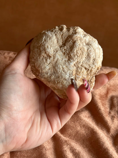 RaVa Home kwarts goede maat L