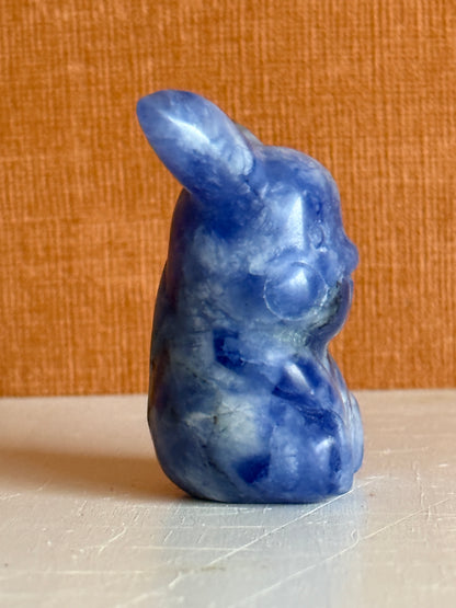 Pikachu Sodaliet Carving